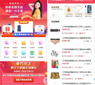 开源电商系统,分销返佣源码